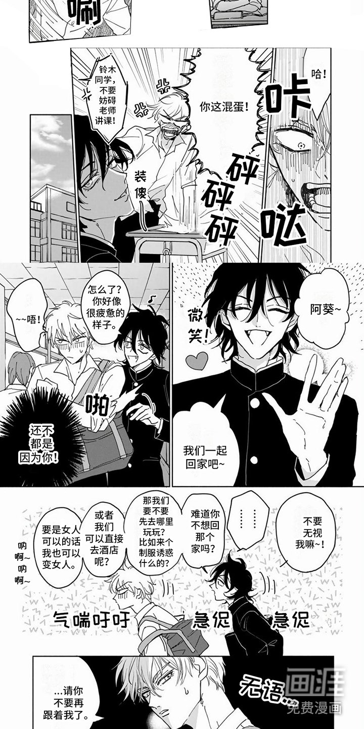 第5章：随心所欲