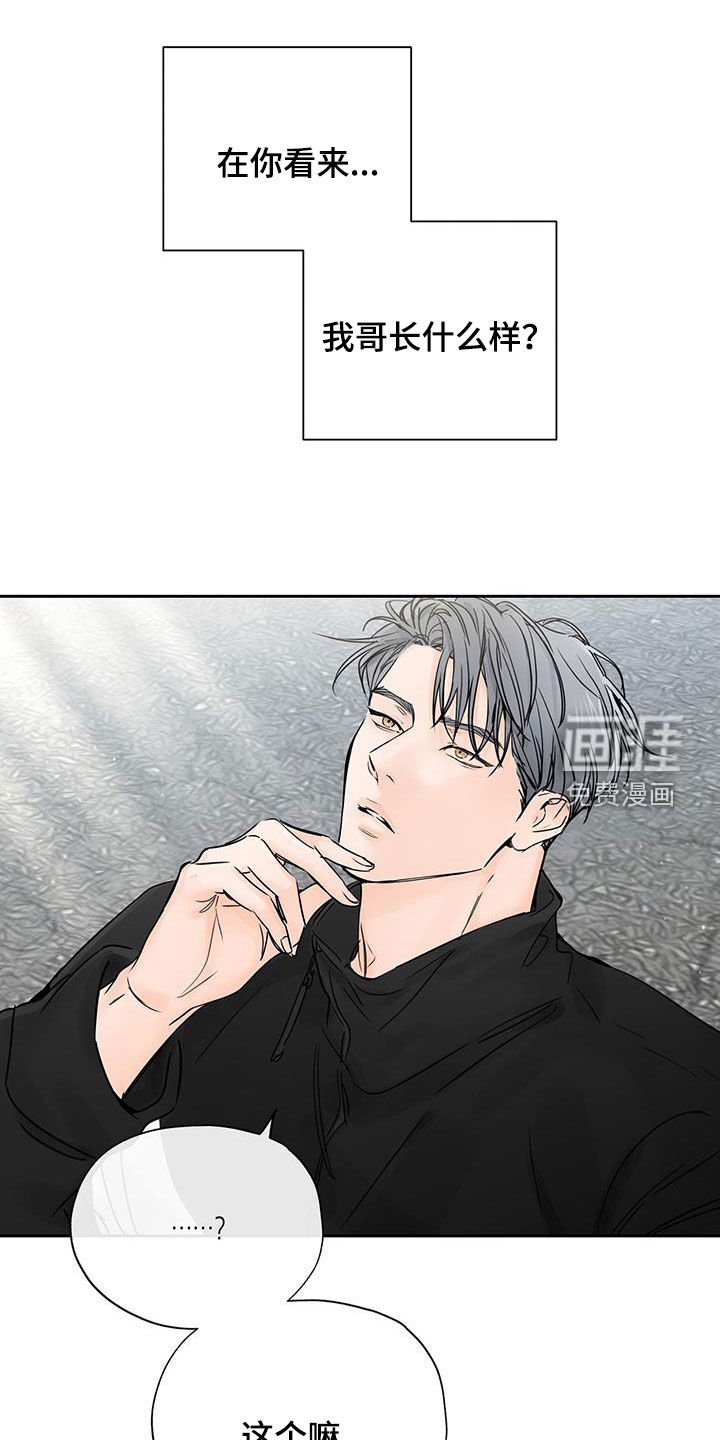 第20章：孤立