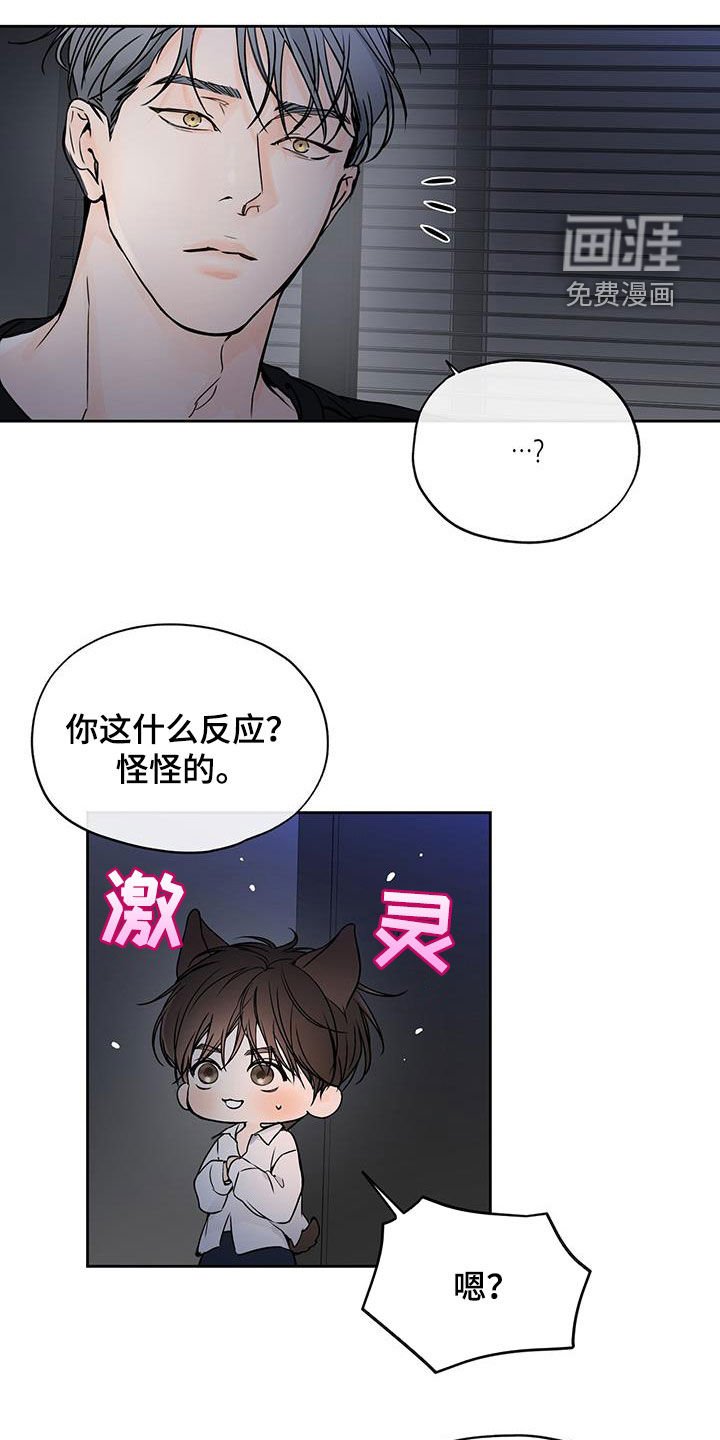 第26章：放开我