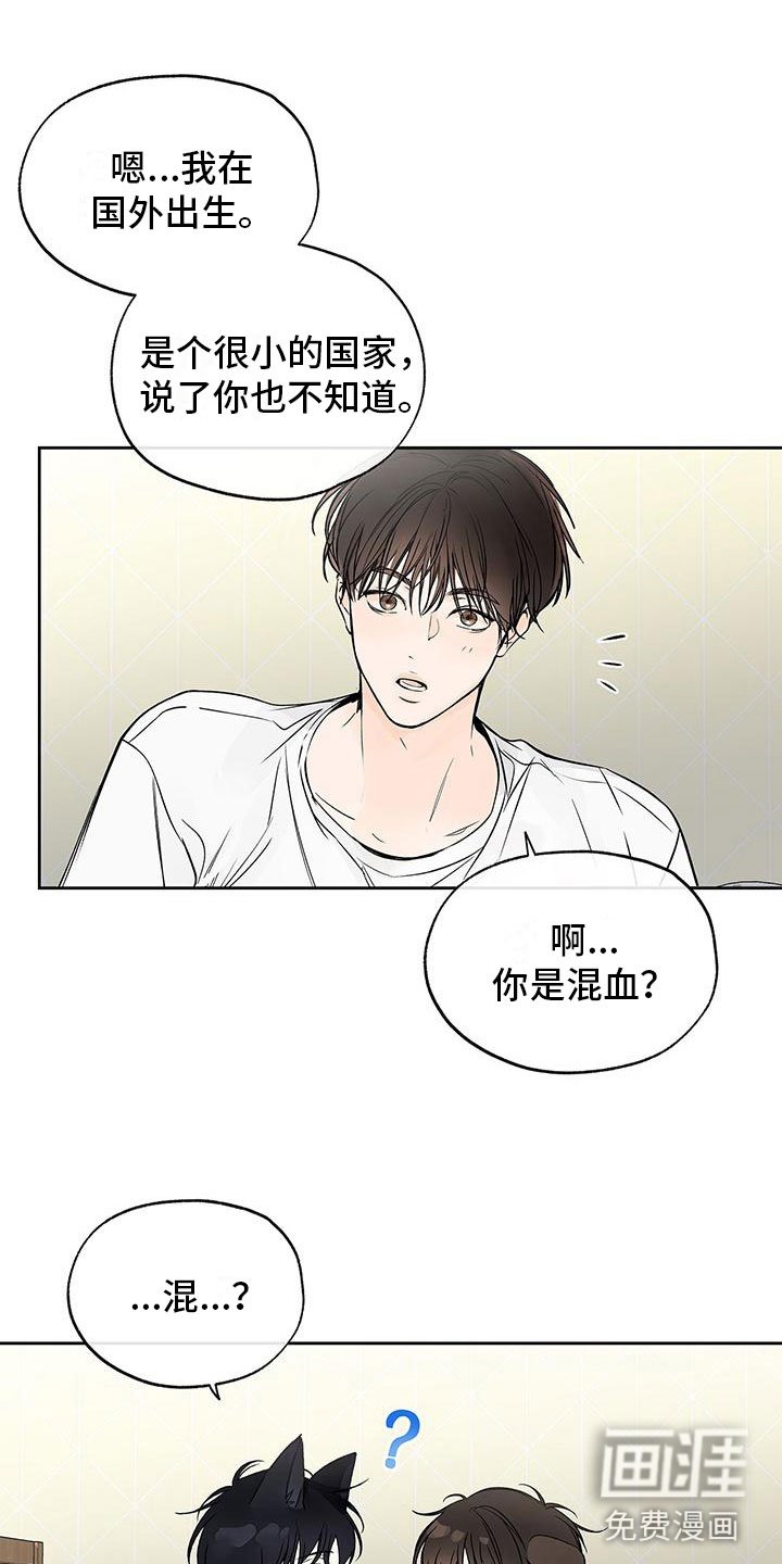 第4章：不反感