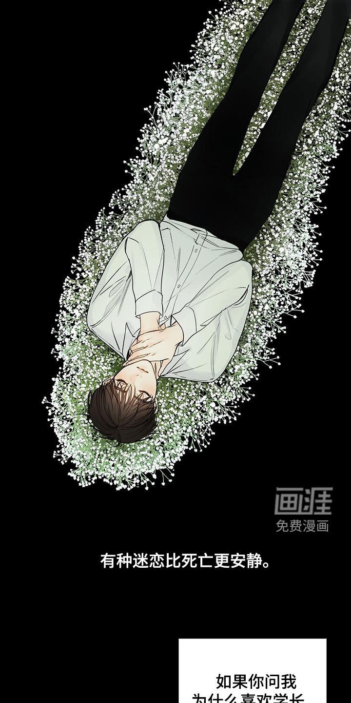 第43章：迷恋