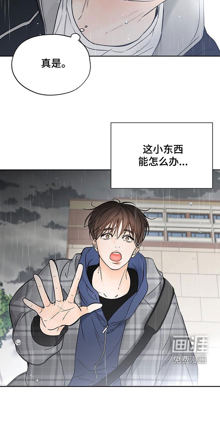 第47章：坠落