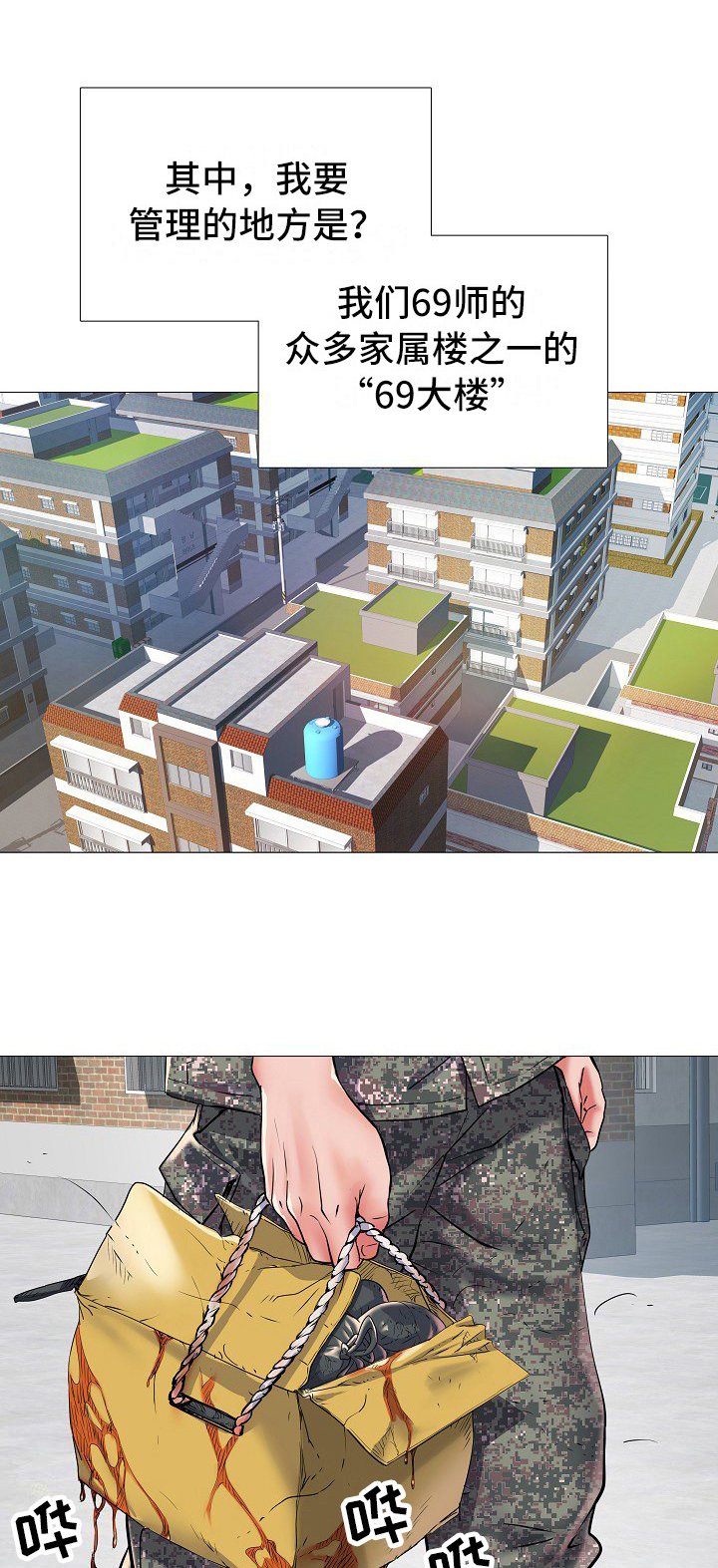 第2章：队长夫人