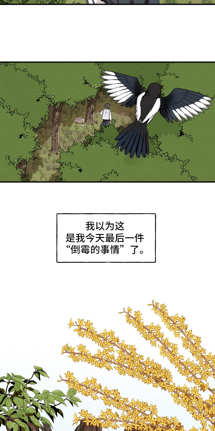 第1章：小心翼翼