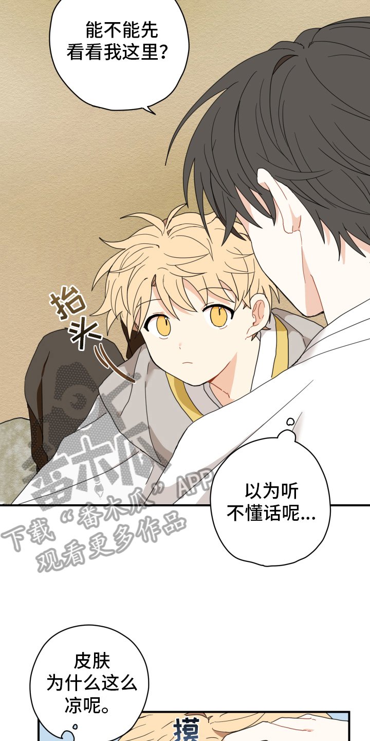 第11章：依赖