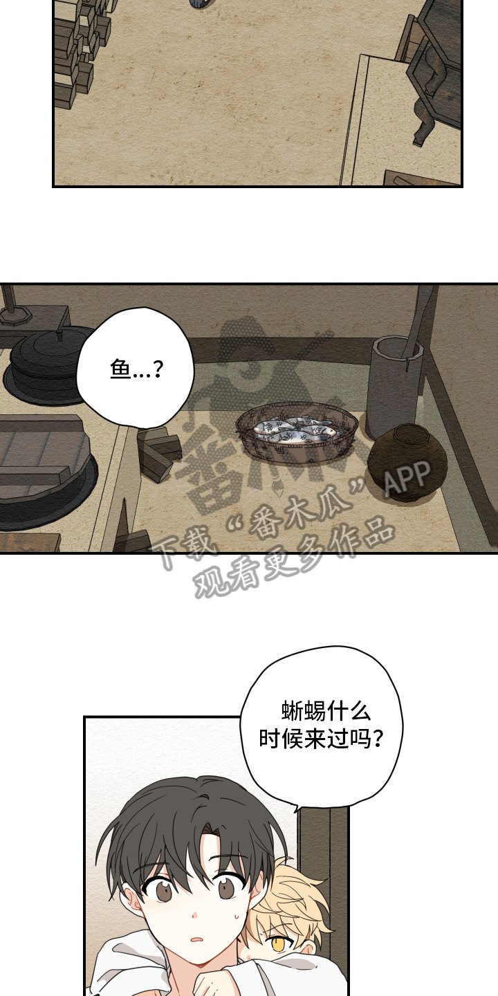 第11章：依赖