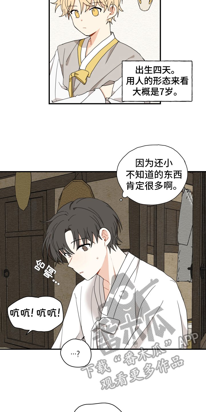 第13章：乖巧