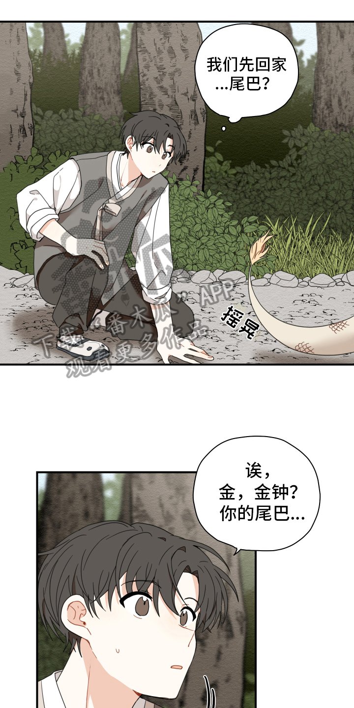 第15章：体质