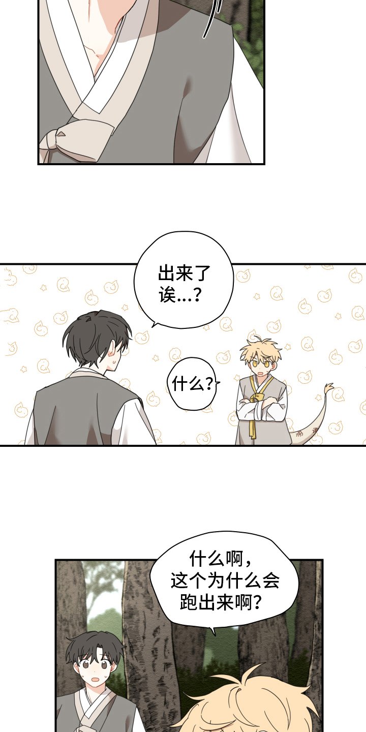 第15章：体质