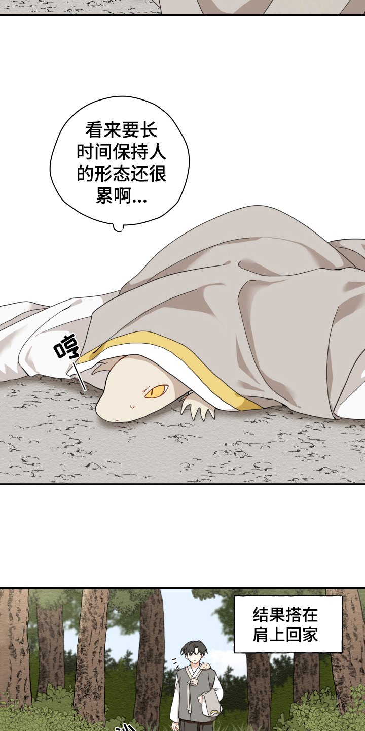 第15章：体质