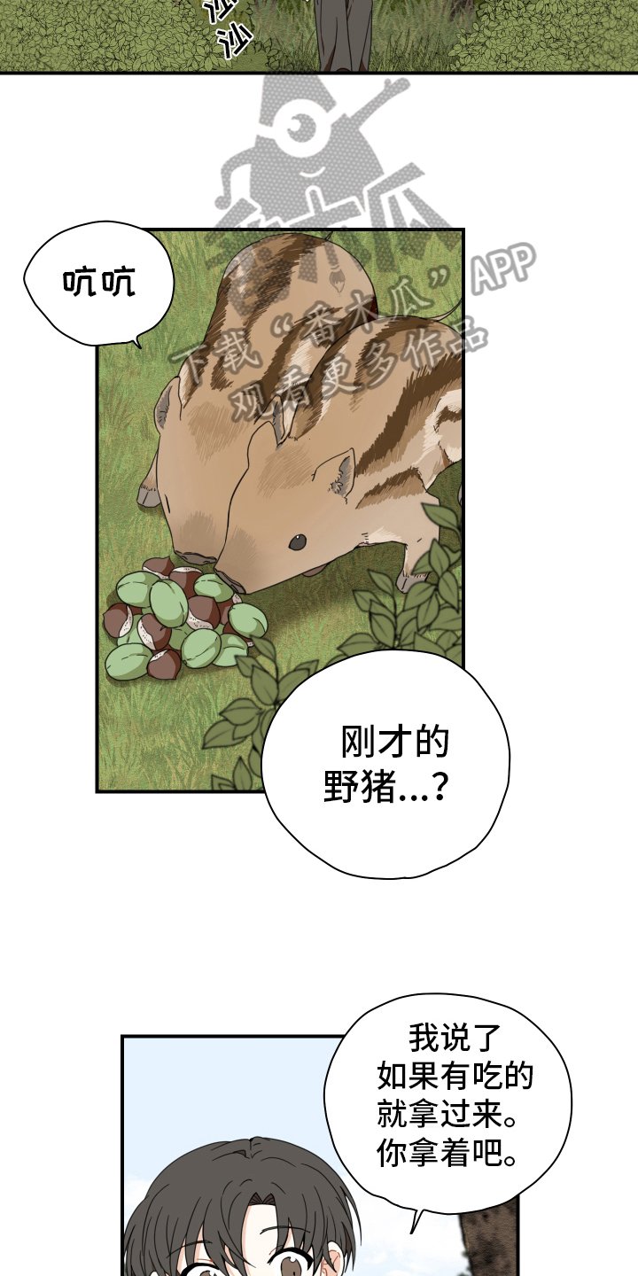 第15章：体质