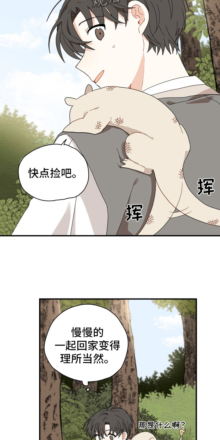 第15章：体质