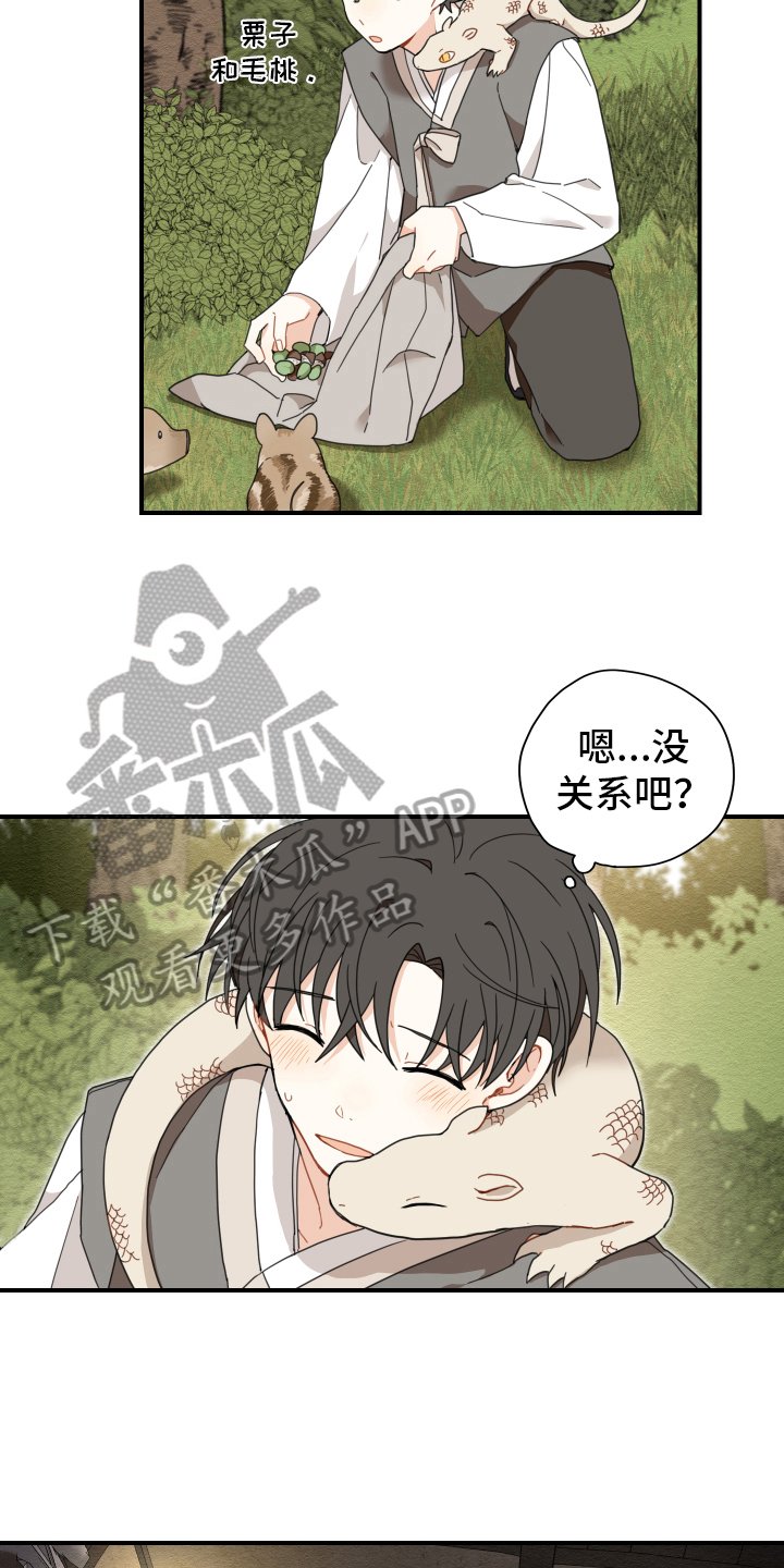 第15章：体质