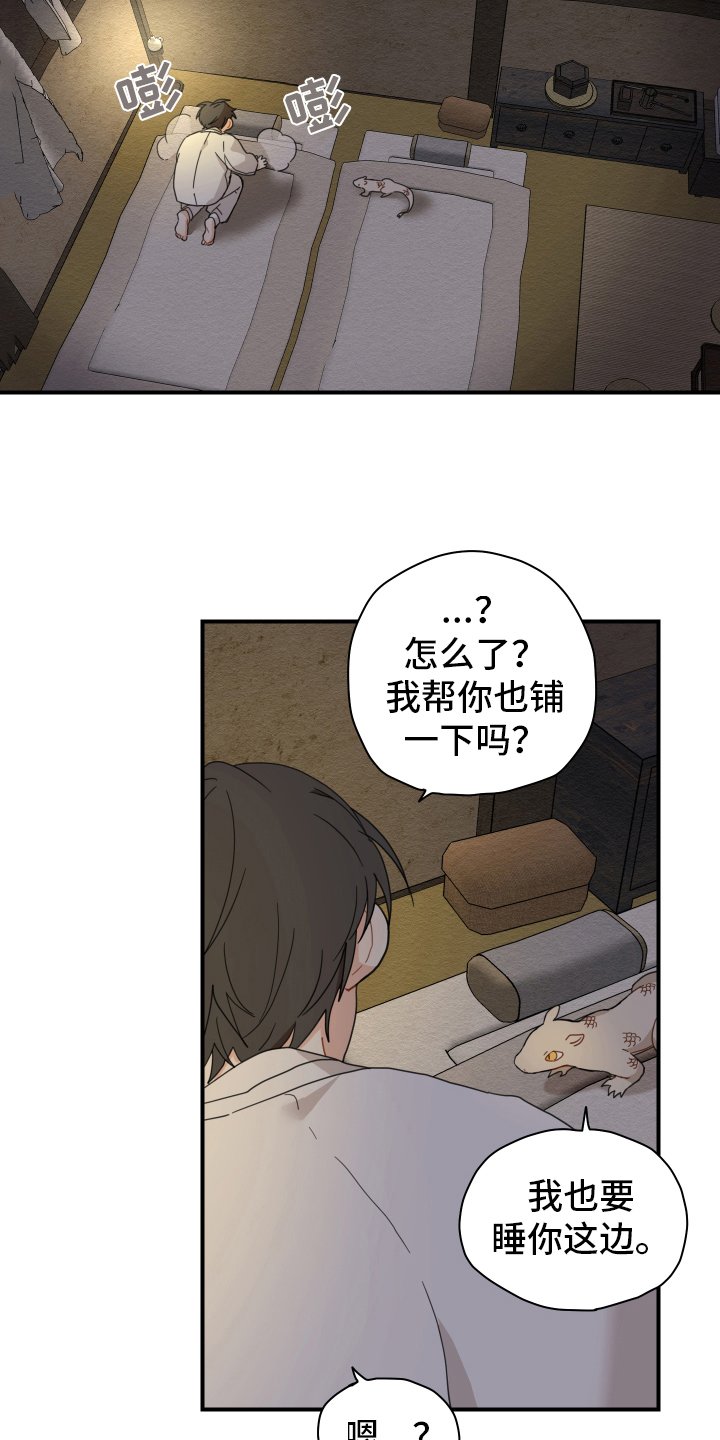 第15章：体质