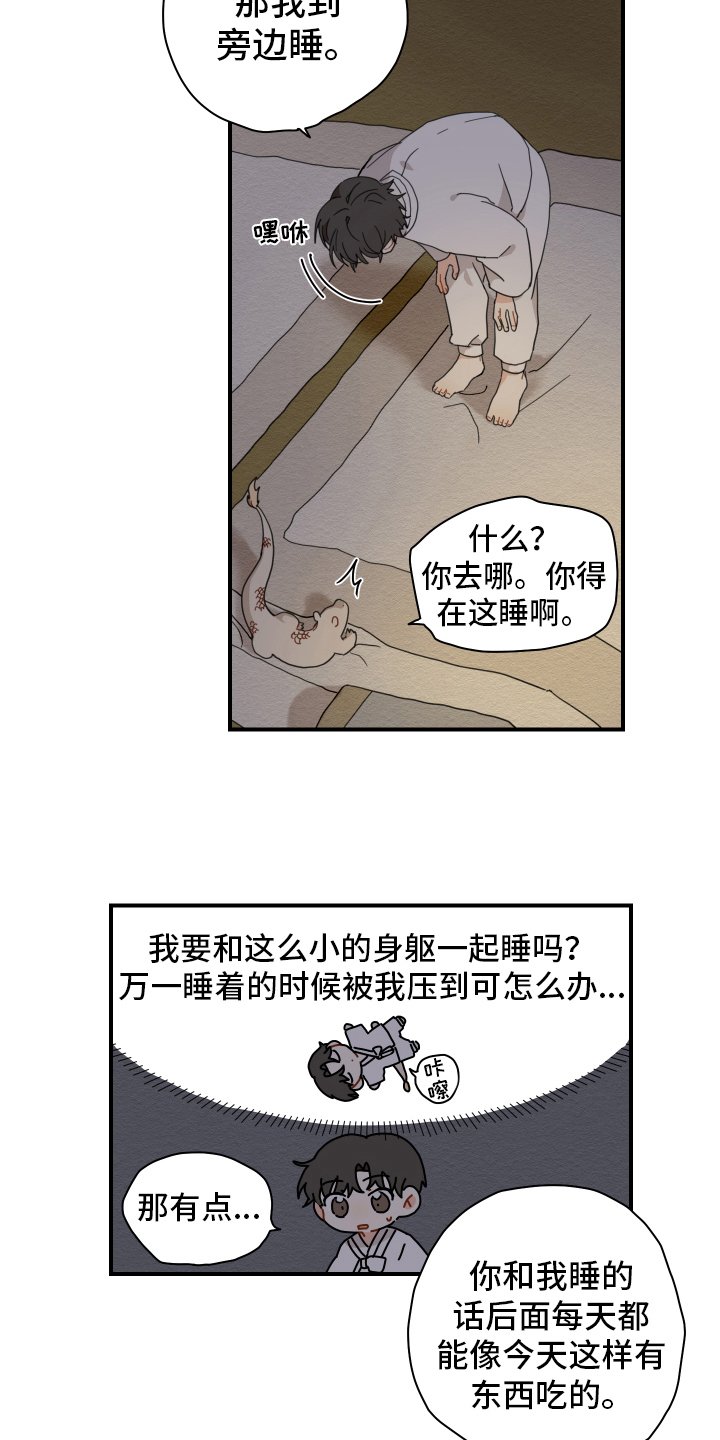 第15章：体质