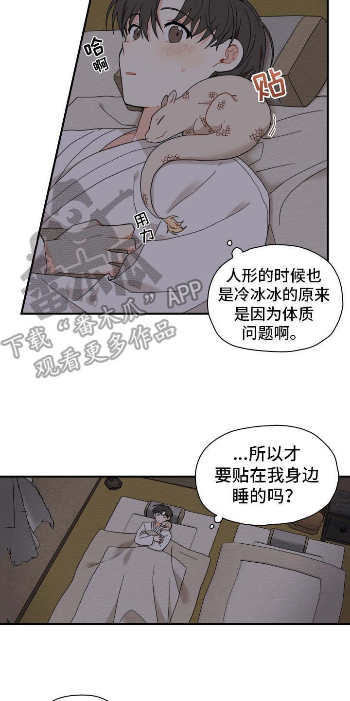 第15章：体质