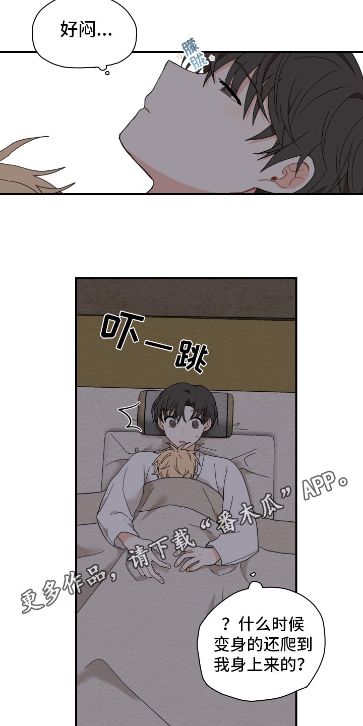 第15章：体质