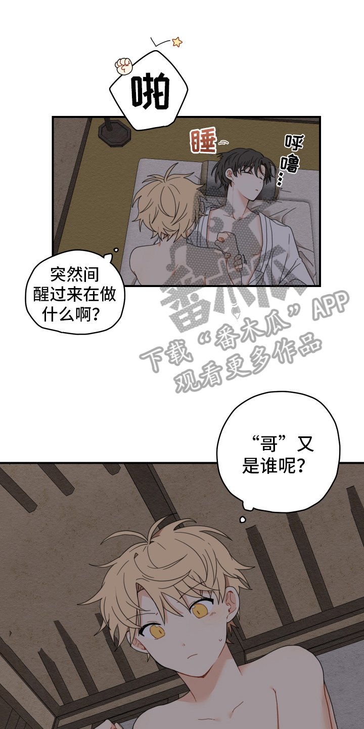第17章：生活