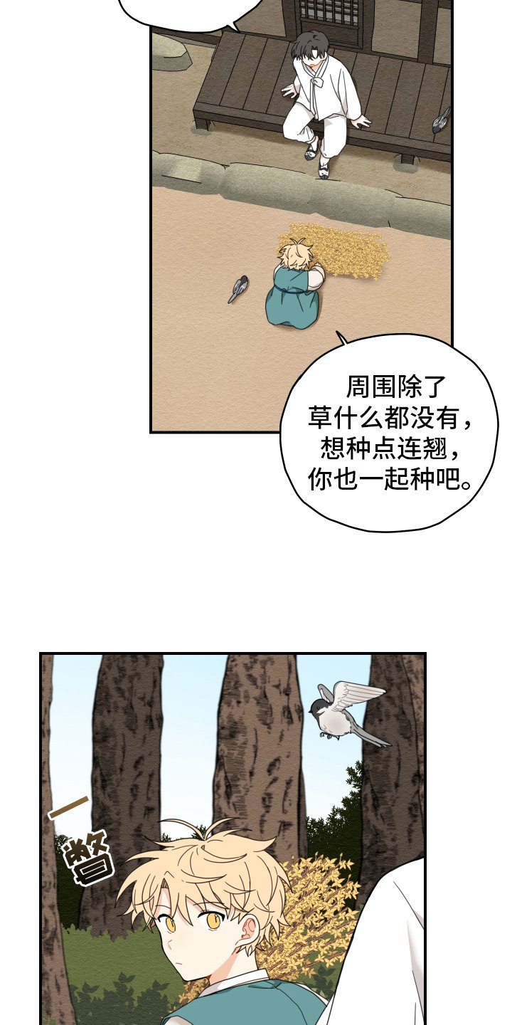 第17章：生活