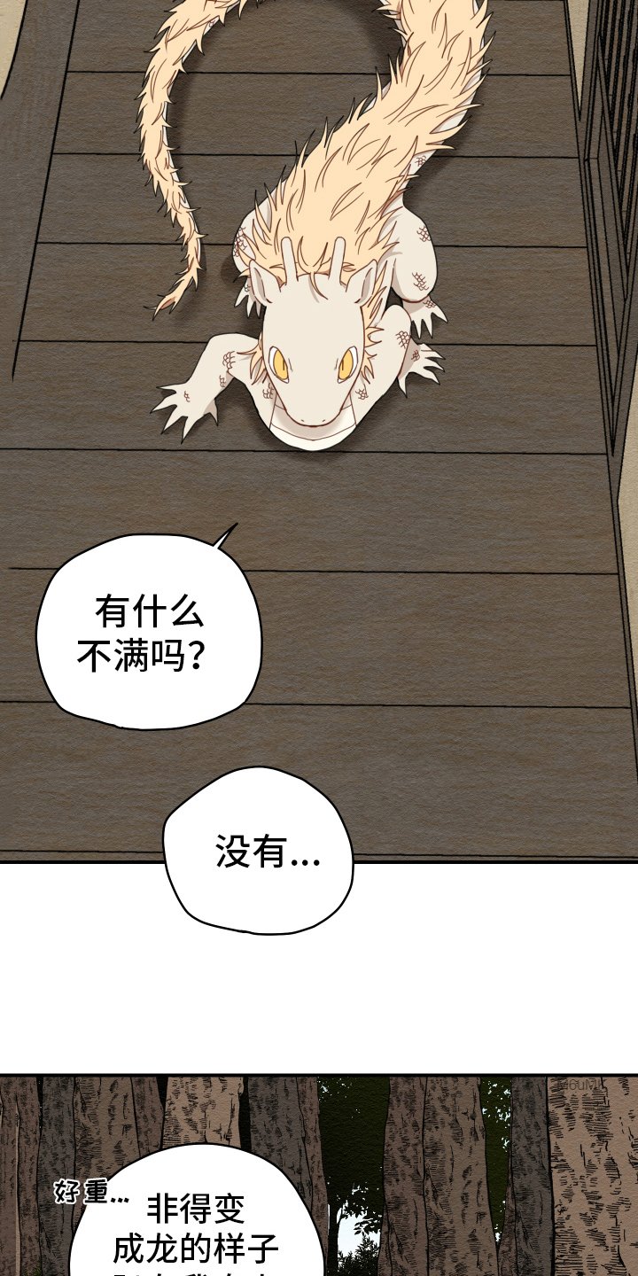 第18章：猎人
