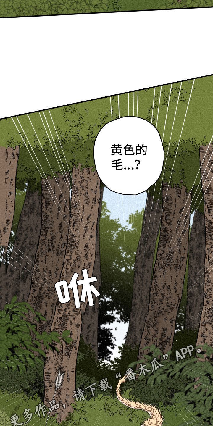 第18章：猎人