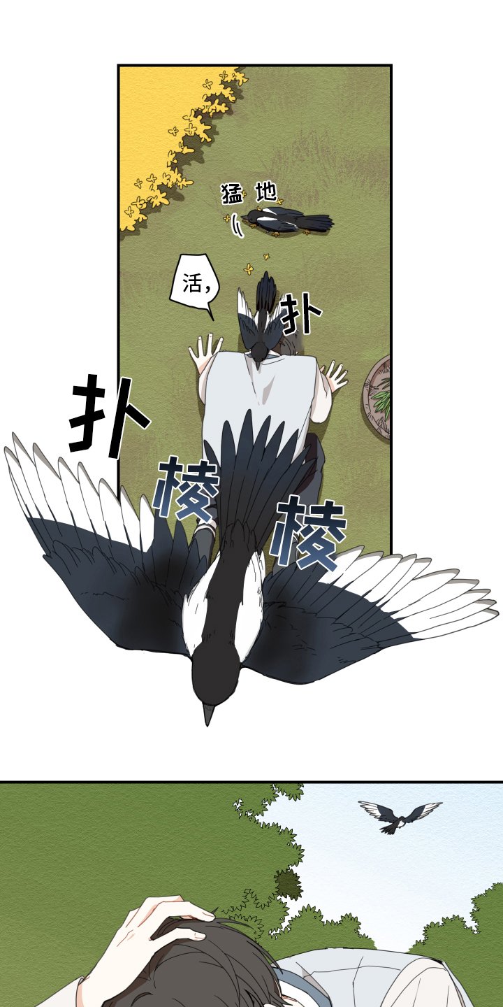 第2章：孵化
