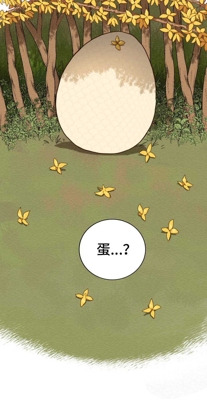 第2章：孵化