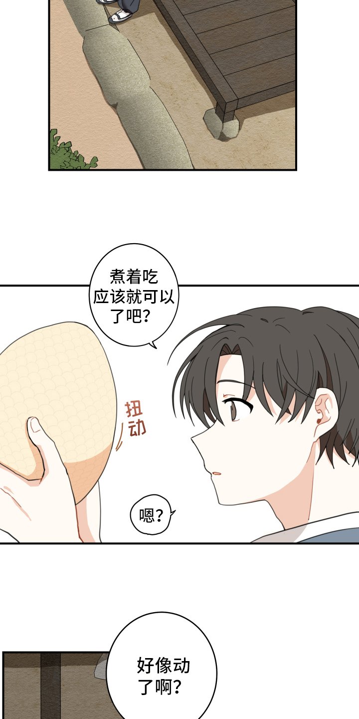 第2章：孵化