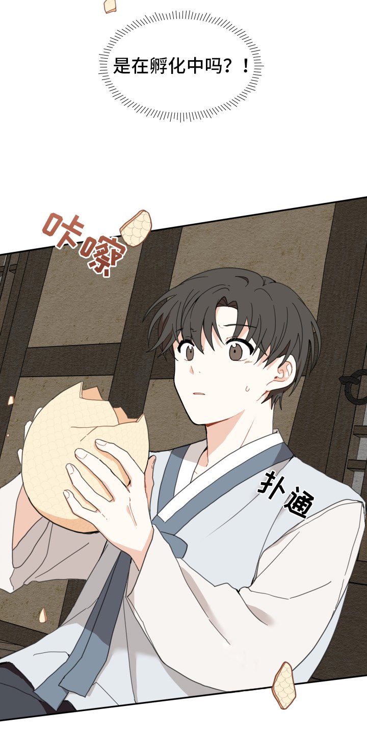 第2章：孵化