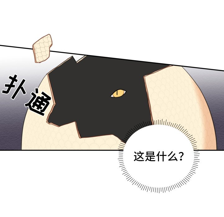 第2章：孵化
