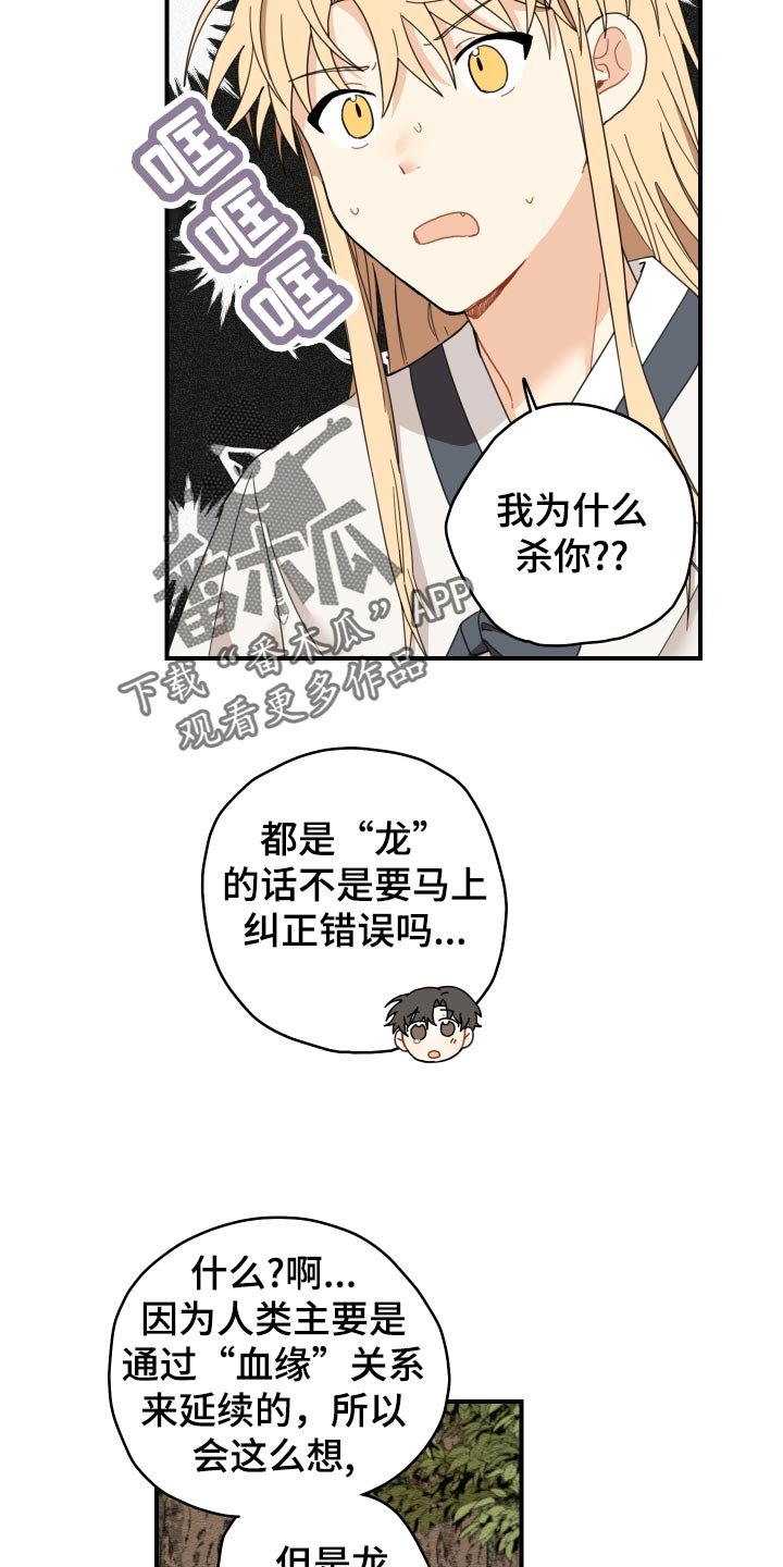 第20章：龙罚