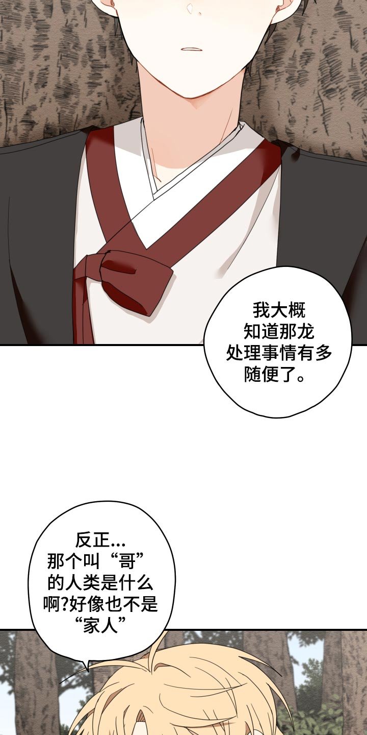 第20章：龙罚