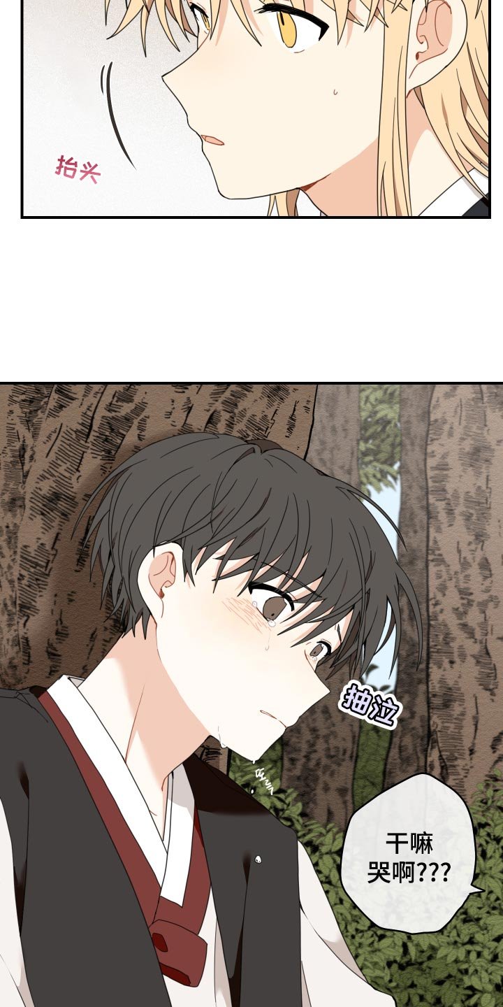 第20章：龙罚