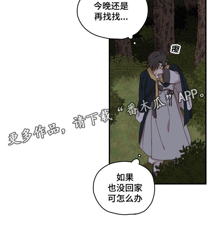 第22章：寻找