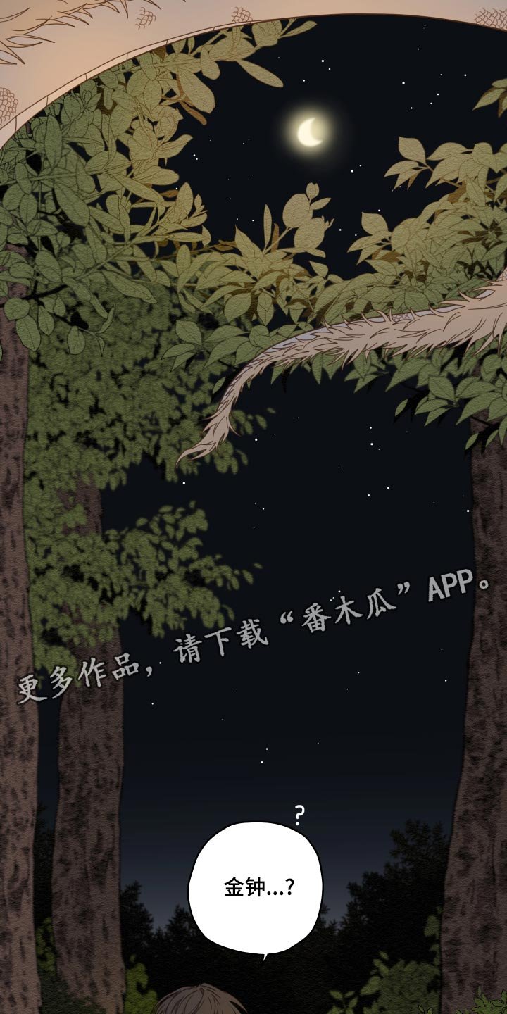 第22章：寻找