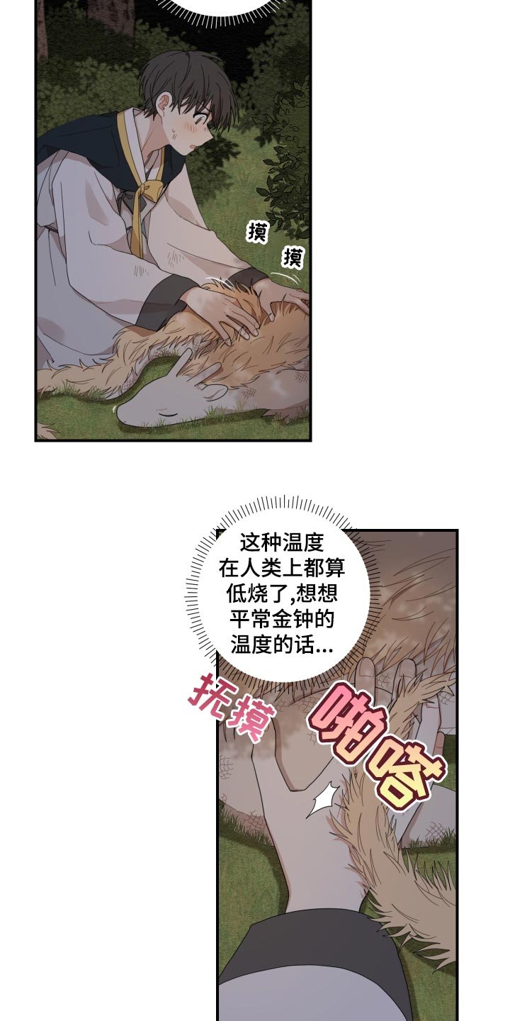 第23章：发烧