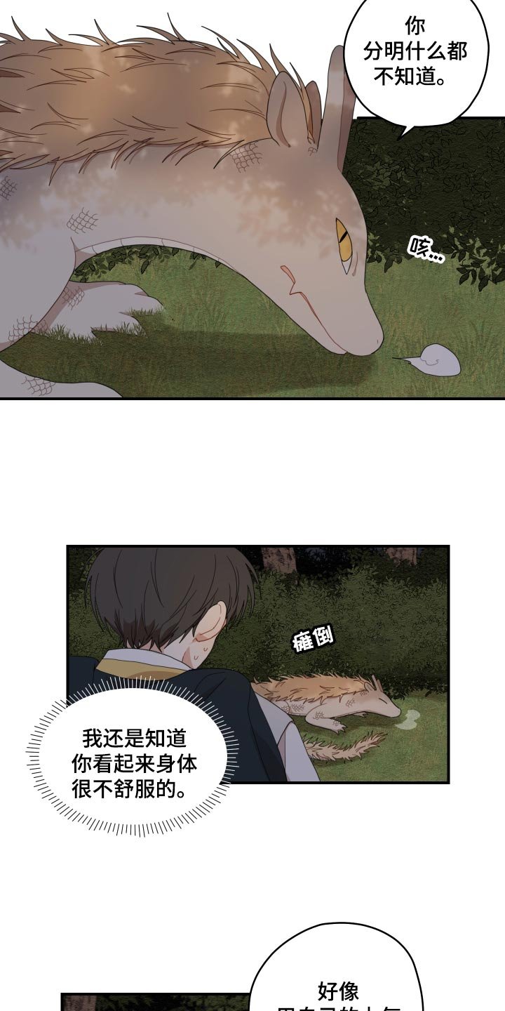 第23章：发烧