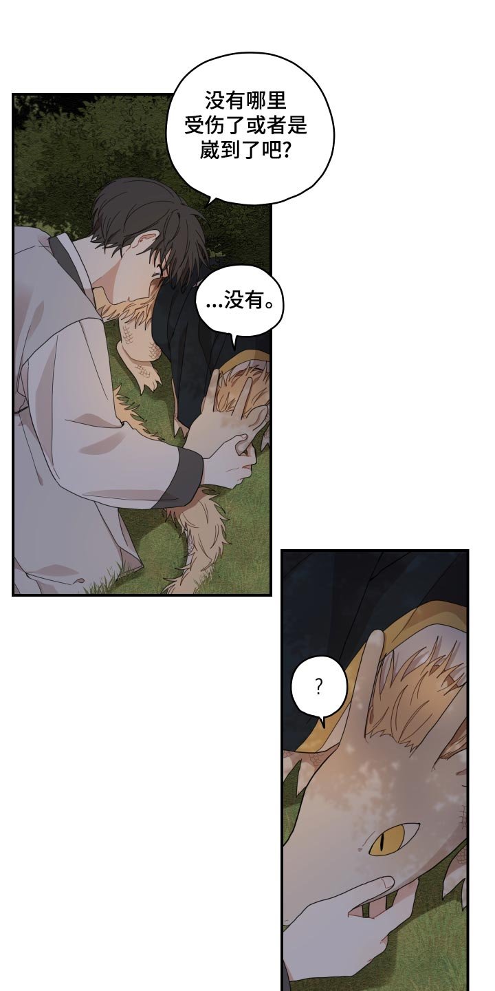 第23章：发烧
