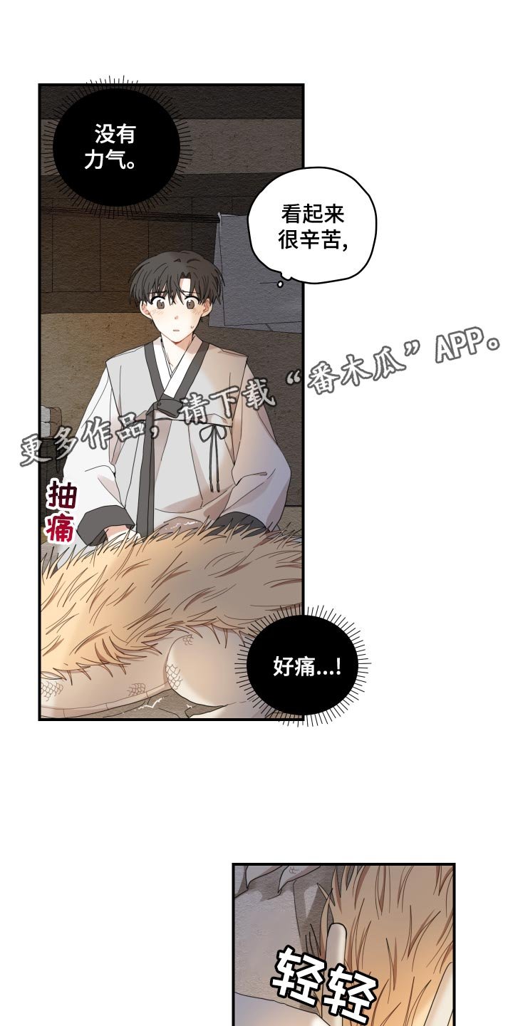 第23章：发烧