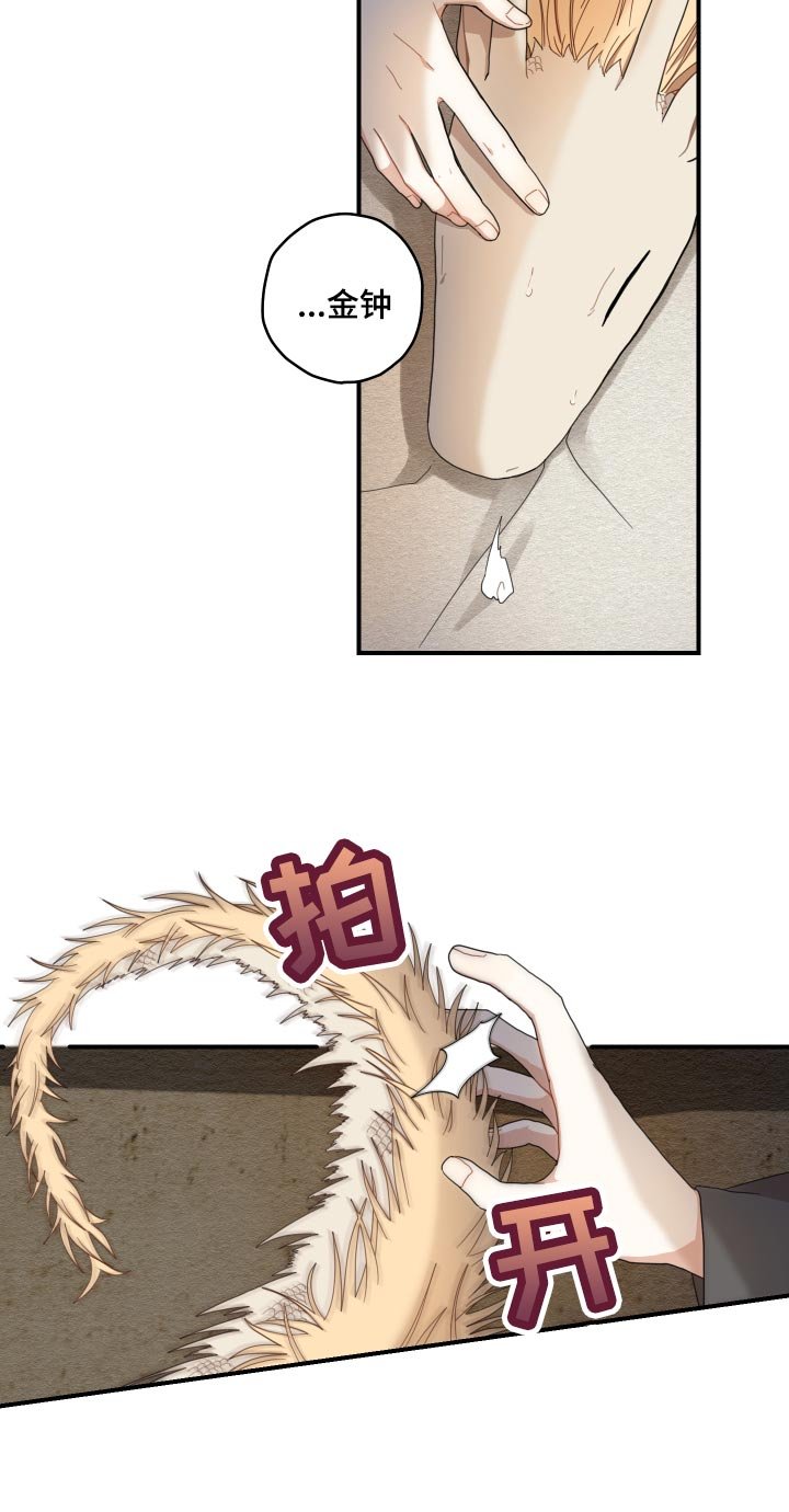 第23章：发烧