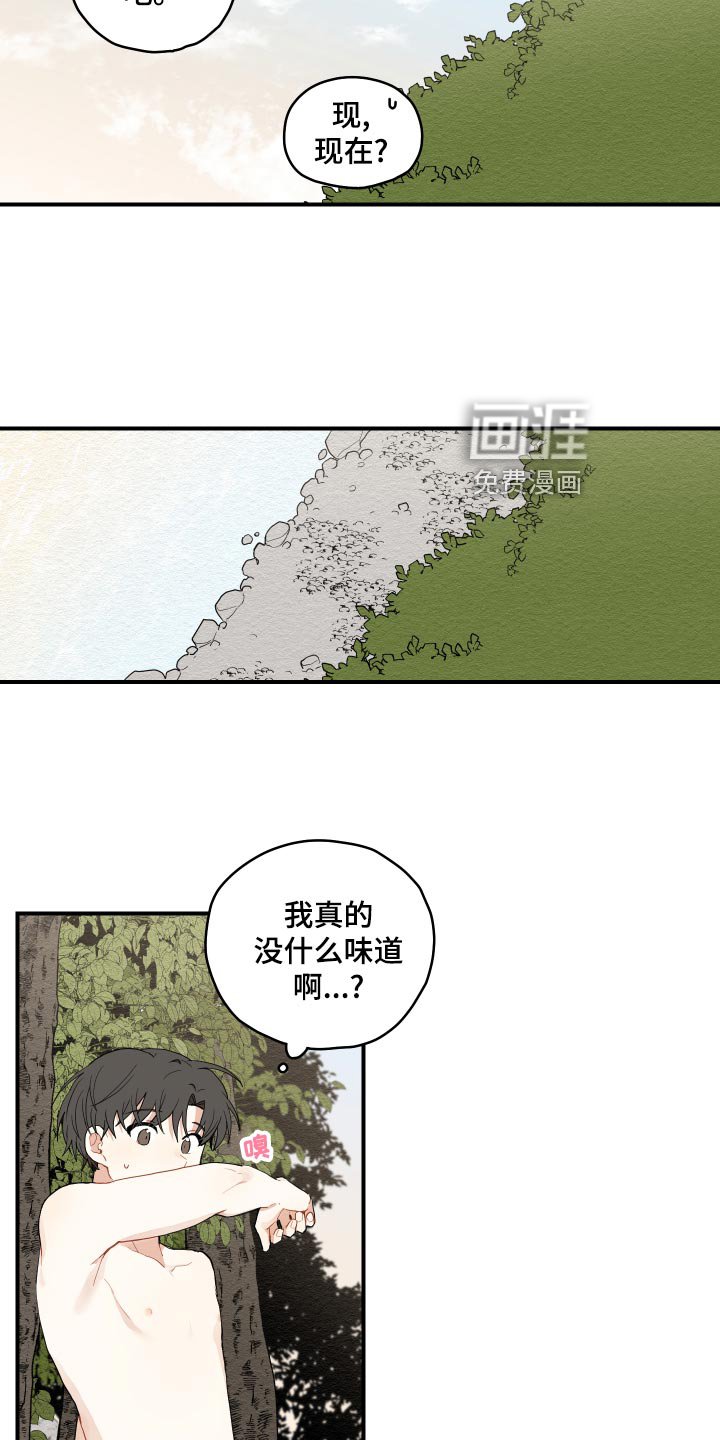 第28章：奇怪的味道