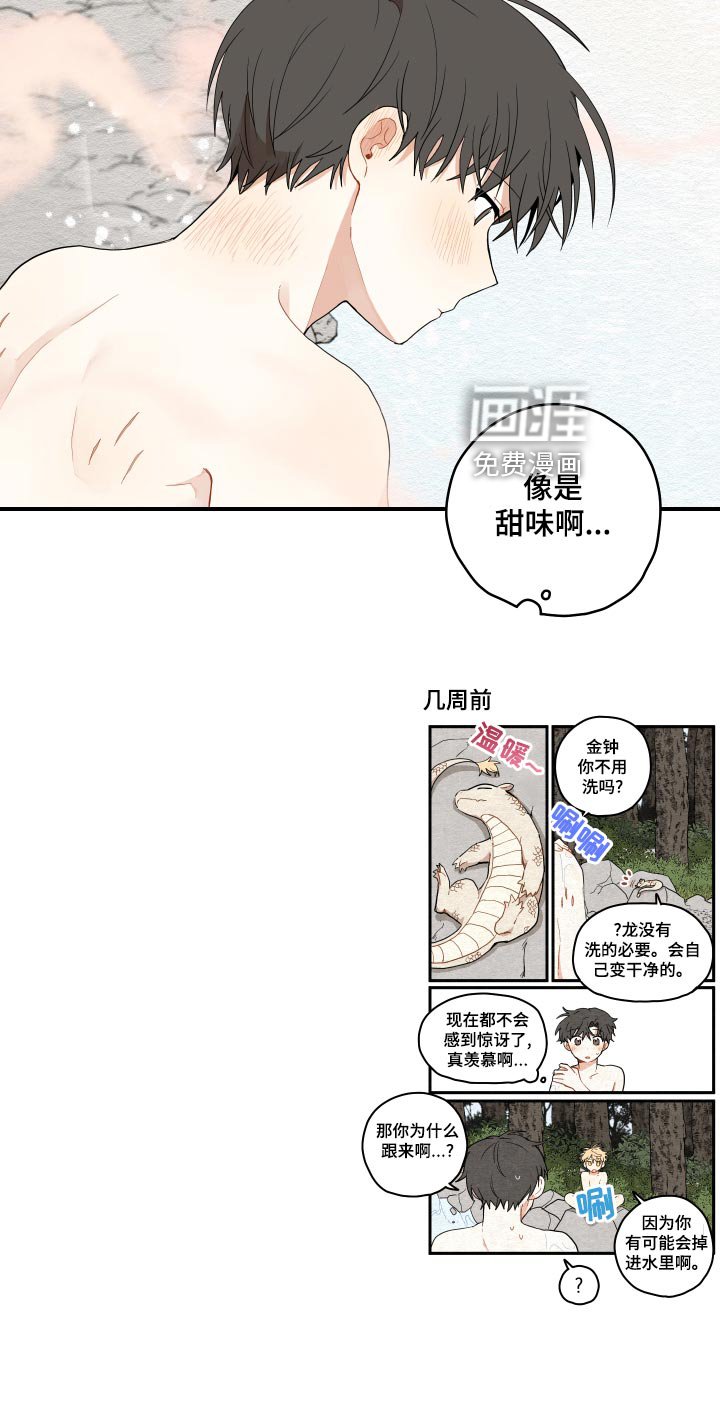第28章：奇怪的味道