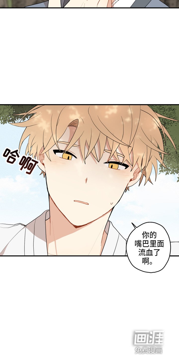 第33章：变熟悉