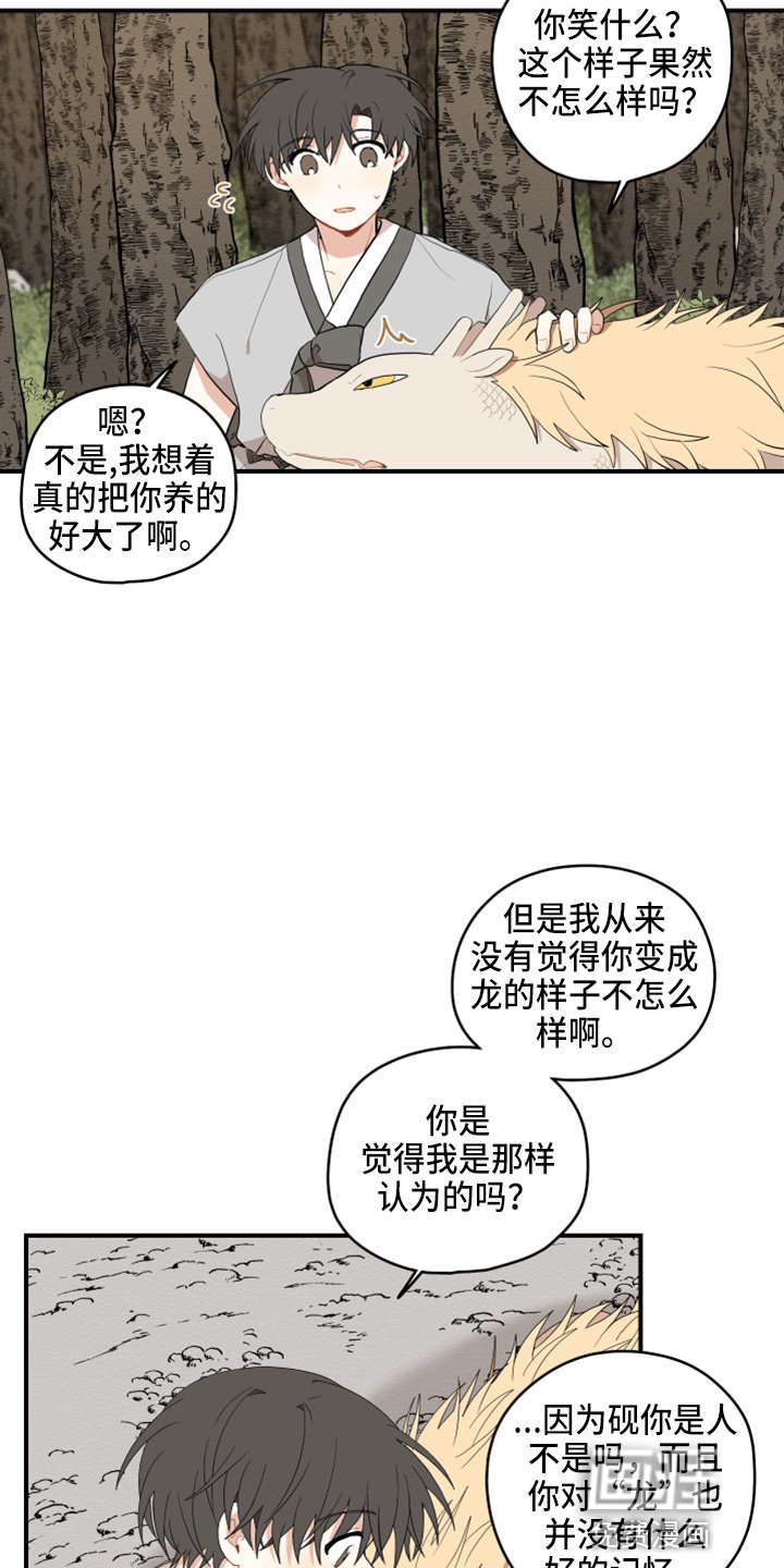 第35章：喜欢你