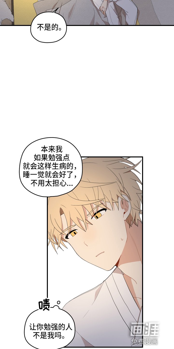 第35章：喜欢你
