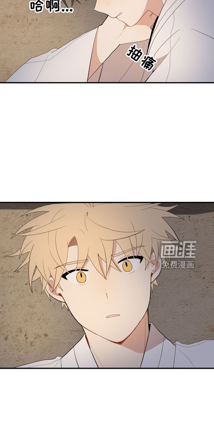 第39章：去哪了