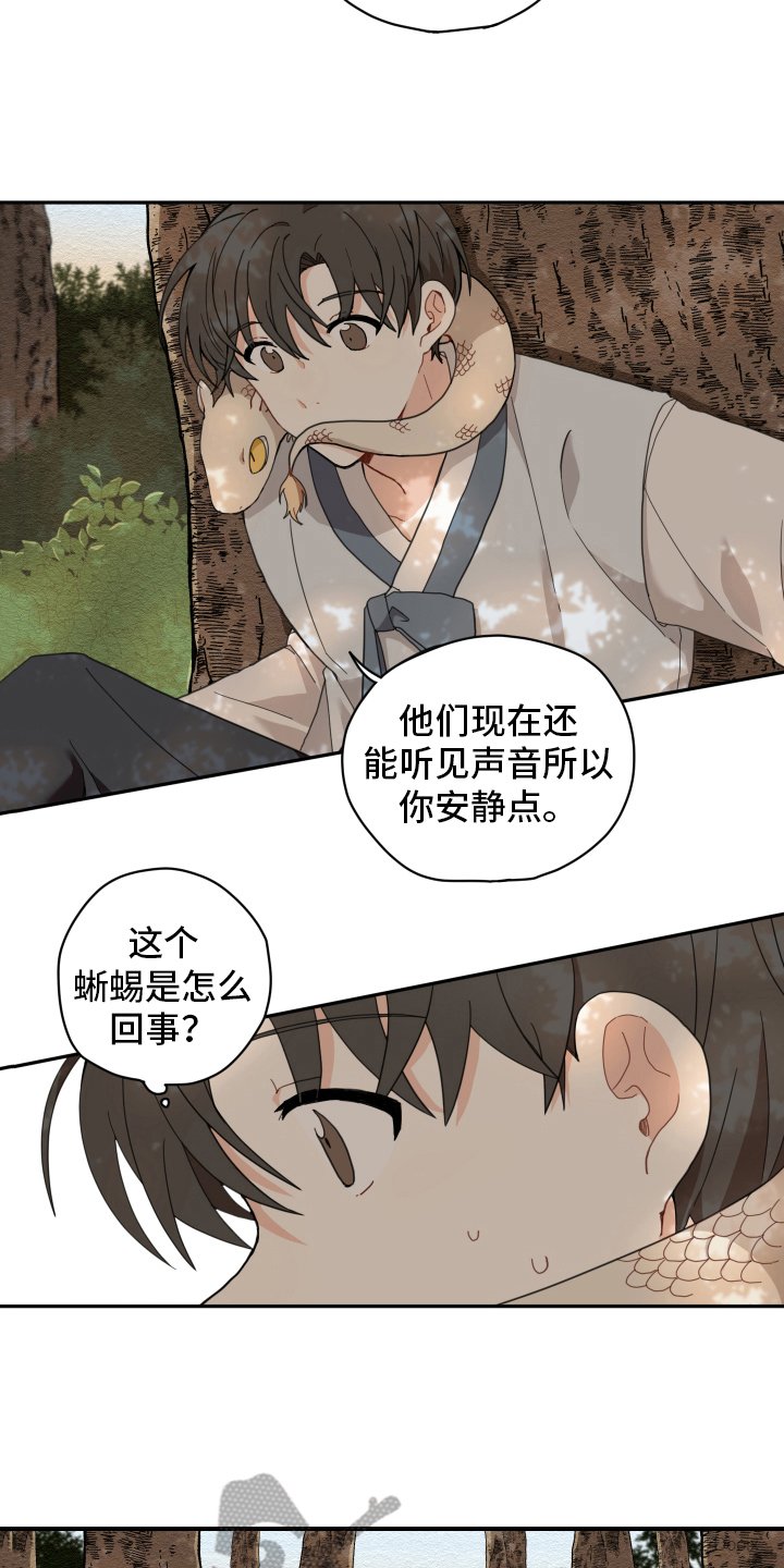 第4章：龙