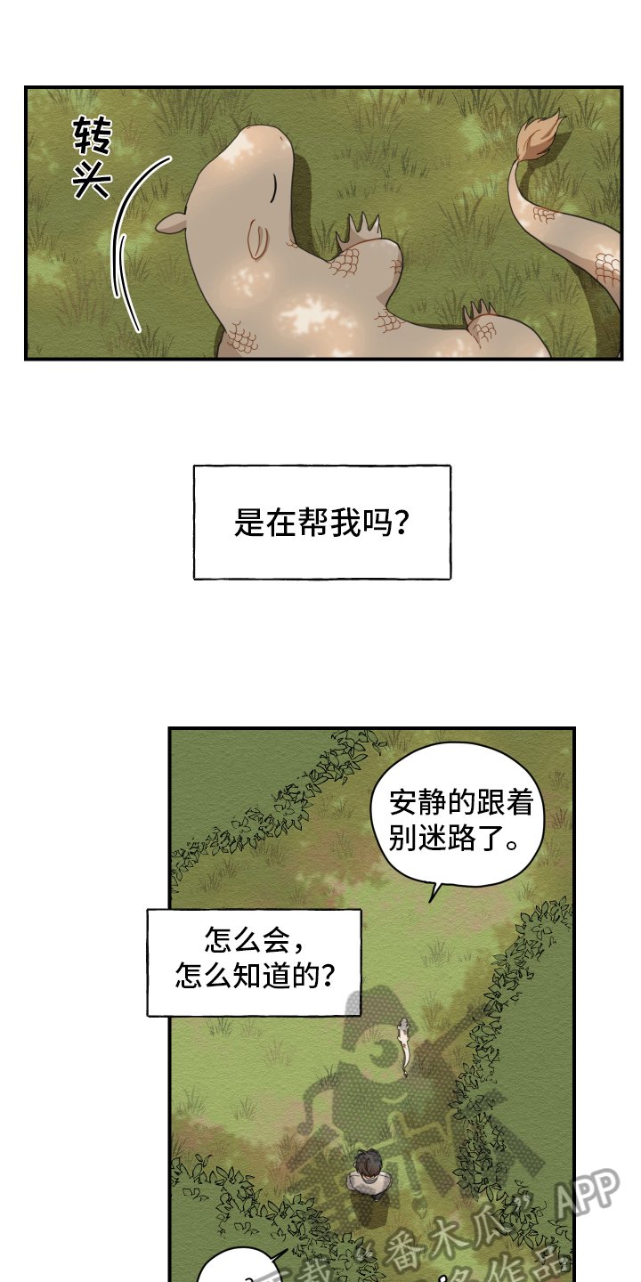 第4章：龙