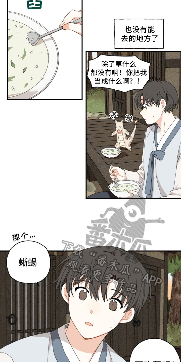第4章：龙