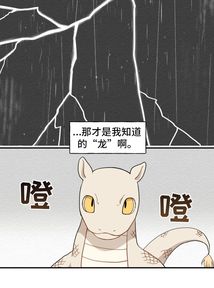 第4章：龙